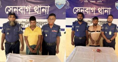 সেনবাগে দুই দিনে শীর্ষ দুই মাদক ব্যবসায়ী গ্রেফতার 