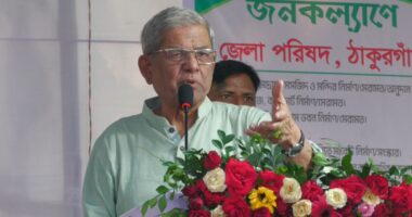 আমরা তো উড়ে এসে জুড়ে বসিনি, আমাদের ধমক দিয়ে লাভ নেই, ১৭টি বছর আন্দোলন করেছি, জেলে গেছি : ফখরুল