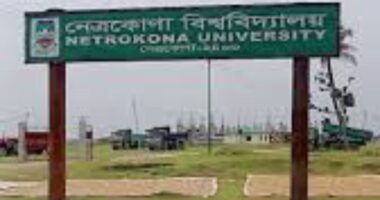 নেত্রকোনা বিশ্ববিদ্যালয়ে জনবল নিয়োগে অনিয়মের অভিযোগ