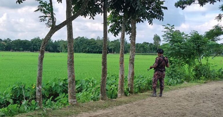 বিজিবির কড়া প্রতিবাদে বিএসএফের খুঁটি স্থাপনের চেষ্টা বন্ধ