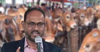 চোরাই পথে গরু প্রবেশ ঠেকাতে সর্বোচ্চ প্রস্তুত বিজিবি: প্রাণিসম্পদ প্রতিমন্ত্রী