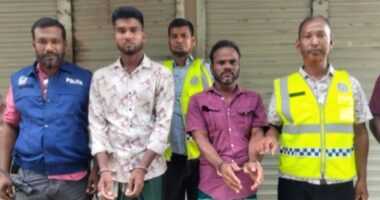 ঘরে সিঁধ কেটে কলেজছাত্রীকে ধর্ষণচেষ্টা: মূল আসামিসহ গ্রেফতার-৩