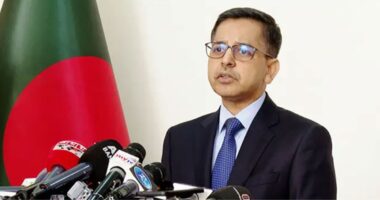 শেষে বিদায় বেলা আমি শুধু এটাই বলতে চাই,‘আবার দেখা হবে!’: প্রণয় ভার্মা