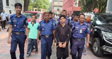 গাংনীতে শিশু ধর্ষণ মামলায় একজনের ফাঁসির আদেশ