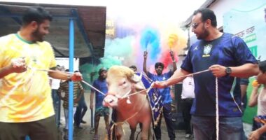 রাজকীয় আয়োজনে ‘ডোনাল্ড ট্রাম্প’ নামের মহিষটিকে লাল গালিচায় বিদায় জানালেন খামারীরা