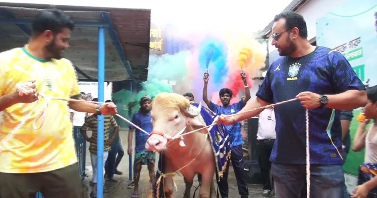 রাজকীয় আয়োজনে ‘ডোনাল্ড ট্রাম্প’ নামের মহিষটিকে লাল গালিচায় বিদায় জানালেন খামারীরা
