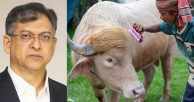 স্বরাষ্ট্রমন্ত্রীর হস্তক্ষেপে কোরবানি হচ্ছে না ‘ডোনাল্ড ট্রাম্প’