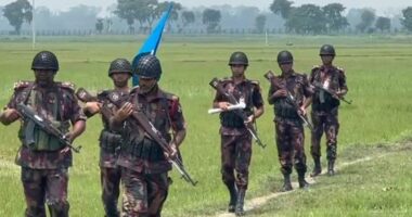 পুশইন ও চামড়া পাচার ঠেকাতে সীমান্তে বাড়তি নজরদারিতে বিজিবি