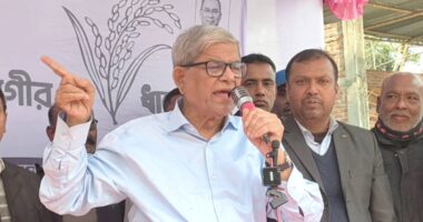 ‘কোনোভাবেই স্বজনপ্রীতি নয়, যোগ্যতার ভিত্তিতেই শিক্ষক নিয়োগ হবে, এটি কোনো দাতব্য প্রতিষ্ঠান নয়’: মির্জা ফখরুল