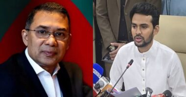 তারেক রহমানের প্রতি আহ্বান জানাবো, আপনারা এদেরকে একটু শিক্ষা-দীক্ষা দেন, ন্যূনতম লার্নিং প্রয়োজনঃ আসিফ মাহমুদ
