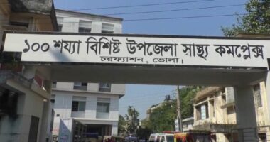 ধর্ষণচেষ্টা ঠেকাতে অভিযুক্তের গোপনাঙ্গ কেটে দিলেন গৃহবধূ