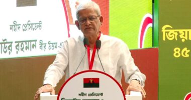 আজকাল কয়েকটা রাজনৈতিক দল খুব জোর করে বলে সংস্কার সংস্কার, সংস্কারের জন্ম দিয়েছিলেন জিয়া: মির্জা ফখরুল