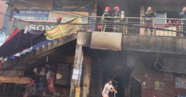 বিজয় সরণির কলমিলতা বাজারের আগুন নিয়ন্ত্রণে