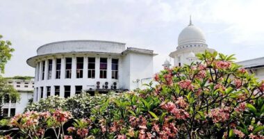 সুপ্রিম কোর্ট সচিবালয় নিয়ে হাইকোর্টের রায়ের বিরুদ্ধে আপিল