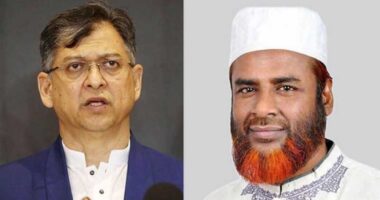 রাসুলের বিচারব্যবস্থাকে অবজ্ঞা করেছেন স্বরাষ্ট্রমন্ত্রী: গোলাম পরওয়ার
