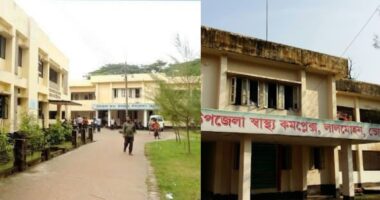লালমোহনে পুকুরে ডুবে প্রাণ গেল দুই শিশুর