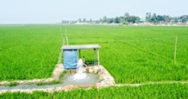 গুরুদাসপুরে এক রাতে ৫ সেচ পাম্পের মোটর চুরি, দিশেহারা কৃষক