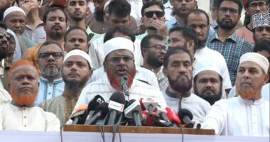 লুটপাট না ঠেকিয়ে বিদ্যুতের দাম বাড়িয়ে জনগণের ওপর বোঝা চাপানো হচ্ছে: মিয়া গোলাম পরওয়ার