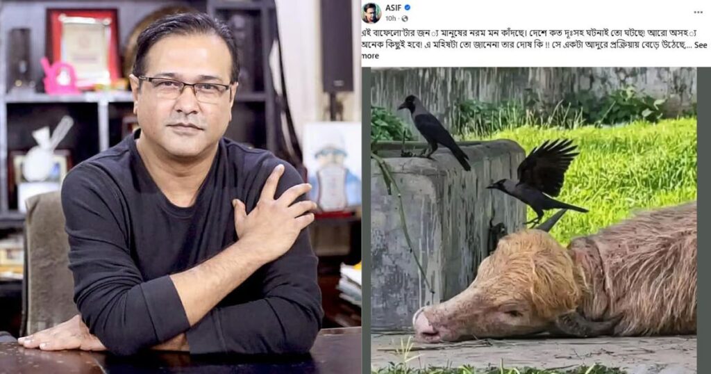 প্লিজ এ অবুঝ প্রাণীটার প্রতি রহম করুন,তাকে খামারির কাছে পৌঁছে দিন,মানুষের মনের ছোট্ট অনুভূতিগুলোও বেঁচে থাকুক, প্লিজ! : আসিফ