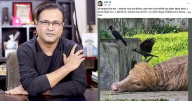 প্লিজ এ অবুঝ প্রাণীটার প্রতি রহম করুন,তাকে খামারির কাছে পৌঁছে দিন,মানুষের মনের ছোট্ট অনুভূতিগুলোও বেঁচে থাকুক, প্লিজ! : আসিফ