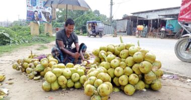 তীব্র গরমে কদর বেড়েছে তালশাঁসের