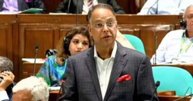 লোডশেডিং নেই, সাময়িক বিদ্যুৎ-বিভ্রাট থাকতে পারে: সংসদে মন্ত্রী