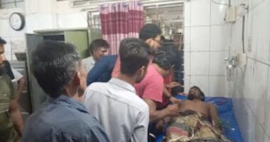 গাংনীতে সাপের কামড়ে কৃষকের মৃত্যু
