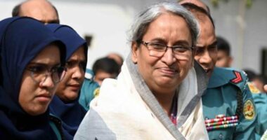 ৩৮ মামলার মধ্যে দুইটিতে জামিন পেলেন ডা. দীপু মনি