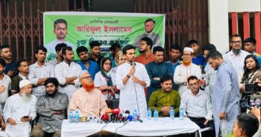 ‘ঢাকার দুই সিটির প্রশাসক নৈতিকভাবে দায়িত্বে থাকতে পারেন না’ : আসিফ মাহমুদ
