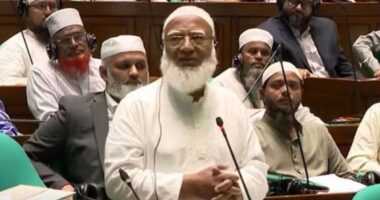 ‘প্রবাসীরা জাতির যোদ্ধা’ সংসদে প্রবাসীদের দুঃখ-দুর্দশার কথা বলতে গিয়ে কাঁদলেন জামায়াত আমির