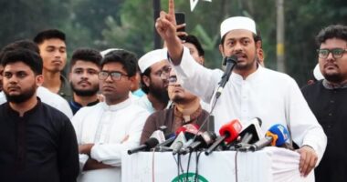 আওয়ামী লীগের হামলা থেকে বাংলাদেশের কেউ রক্ষা পাচ্ছে না: নাসীরুদ্দীন পাটওয়ারী