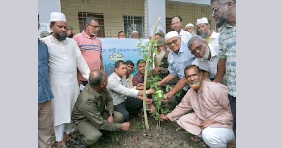 মনপুরায় উপজেলা প্রশাসনের উদ্যোগে প্রধানমন্ত্রীর ৫ বছরে ২৫ কোটি বৃক্ষরোপণ কর্মসূচির উদ্বোধন!