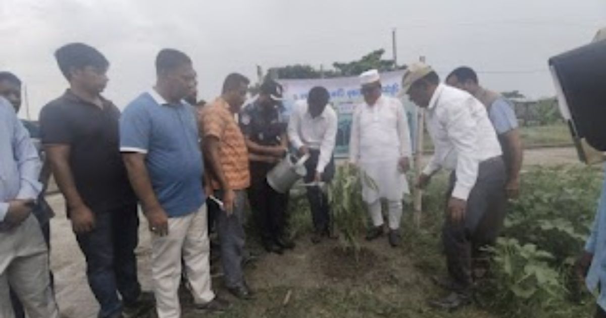 সরকারের নির্বাচনী অঙ্গীকার রাঙ্গাবালীতে বৃক্ষরোপন কর্মসূচির উদ্বোধন 