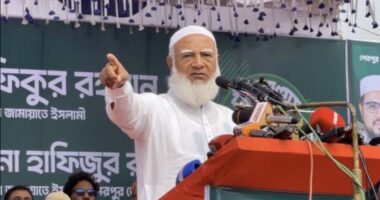 সময় ফুরিয়ে আসছে, ভালোয় ভালোয় গণভোটের রায় মেনে নিন, না মানলে ১৯৯৬ সালের পরিস্থিতি হবে: জামায়াত আমির