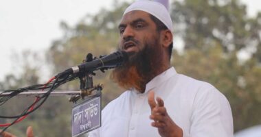 শাপলা চত্বরের শহীদদের রাষ্ট্রীয় সম্মাননা চান মামুনুল হক