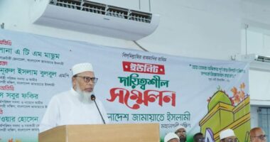 আ.লীগের চেয়েও নির্লজ্জভাবে বিএনপি সরকার সর্বত্র দলীয়করণ করছে: এটিএম মাছুম