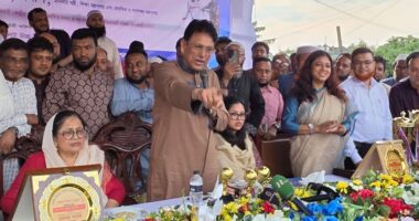 সব সংসদীয় এলাকায় বিশ্ববিদ্যালয় করার পরিকল্পনা সরকারের: শিক্ষামন্ত্রী