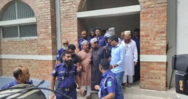 মানহানির মামলায় স্থায়ী জামিন পেলেন এমপি আমির হামজা