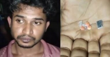 সখীপুরে ইয়াবাসহ যুবক আটক, পুলিশের কাছে সোপর্দ