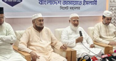 বেনজীরকে আটক দেশের পুলিশের কৃতিত্ব নয়, ইন্টারপোলের কৃতিত্ব: জামায়াত আমির