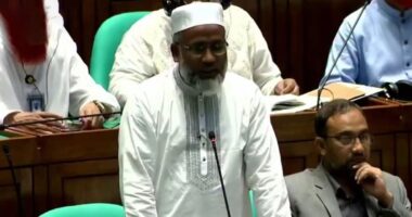 সংসদে সরকারি ফ্ল্যাটে ওয়াশিং মেশিন ও মাইক্রোওভেনের দাবি জামায়াত এমপির