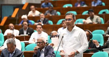 হামের টিকায় গাফিলতি মিললে কঠোর ব্যবস্থা নেয়া হবে: সংসদে প্রধানমন্ত্রী