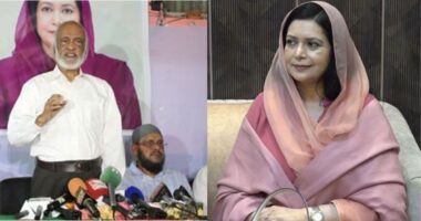 ‘প্রধানমন্ত্রীর ছায়াসঙ্গী হিসেবে কাজ করছেন জুবাইদা রহমান’: মঈন খান