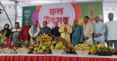 জাতীয় প্রেস ক্লাবে ফল উৎসব ও গানের আসর