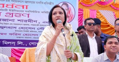 ভঙ্গুর অর্থনীতির ওপর দাঁড়িয়ে কাজ করছে সরকার: সমাজকল্যাণ প্রতিমন্ত্রী