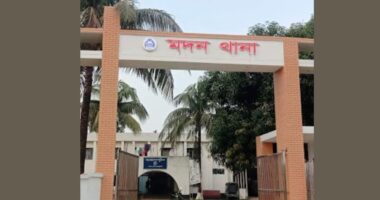 মাদকাসক্ত ভাগ্নে কে ছেড়ে দিতে বাঁধা দেওয়ার জেরে হামলা