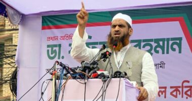 গণভোটের রায় বাস্তবায়নের দাবিতে জনগণের দুয়ারে যাওয়ার ঘোষণা: মামুনুল হক
