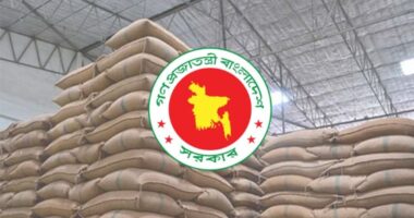 দেশে খাদ্যশস্যের সরকারি মজুত ২০ লাখ ৬০ হাজার টন ছাড়িয়েছে