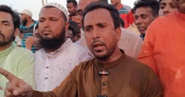 আ.লীগ সুযোগ পেলে আবারও কয়েক লাখ মানুষ হত্যা করবে: আবু হানিফ