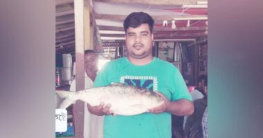 জেলের জালে রাজা ইলিশ, এক ইলিশের দাম ৯ হাজার টাকা